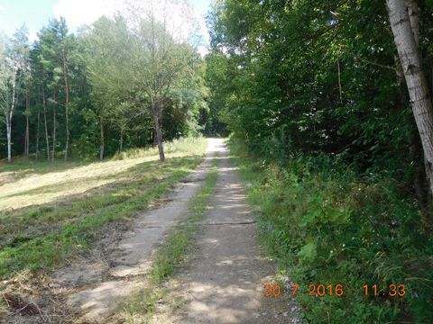 Foto 11